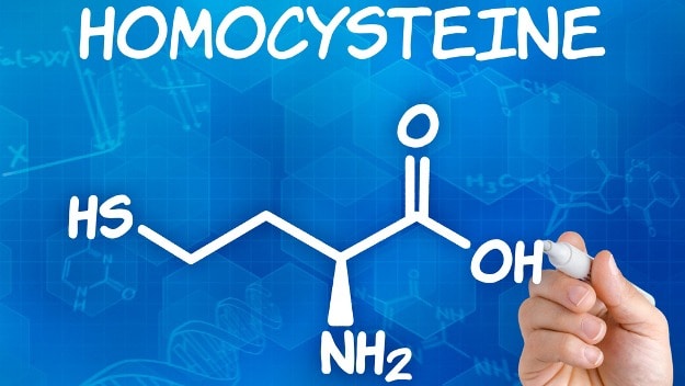 homocysteine là gì?